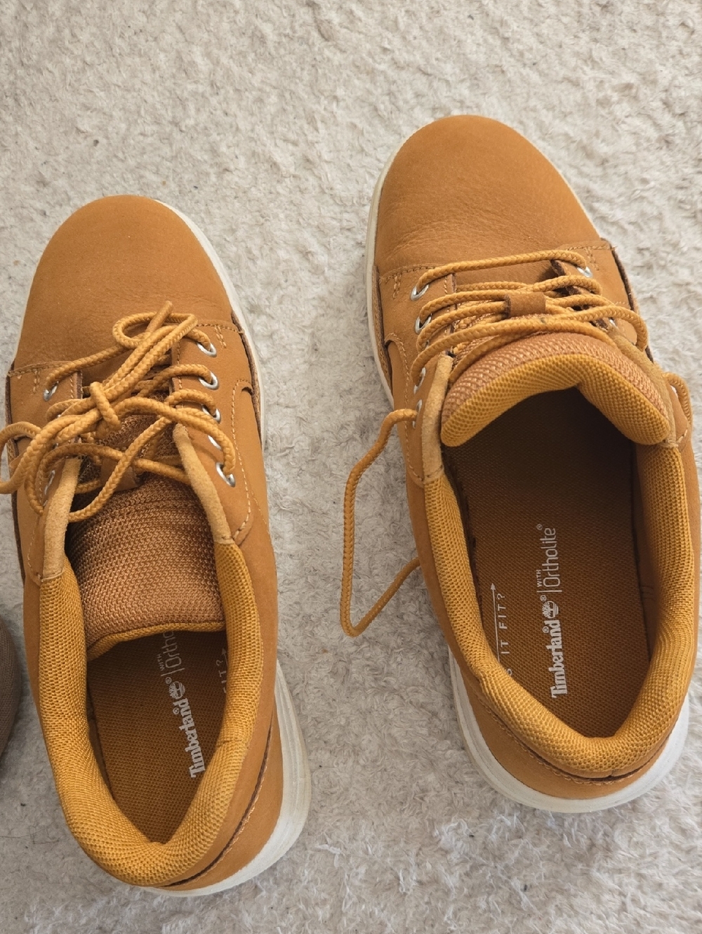 Timberland Men's Mustard Low-Top Casual Sneakers